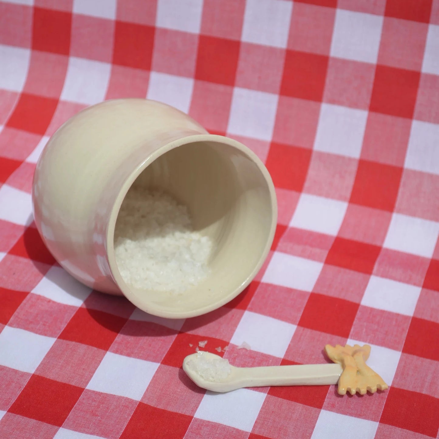 Pasta Salt Pig - Knottinger