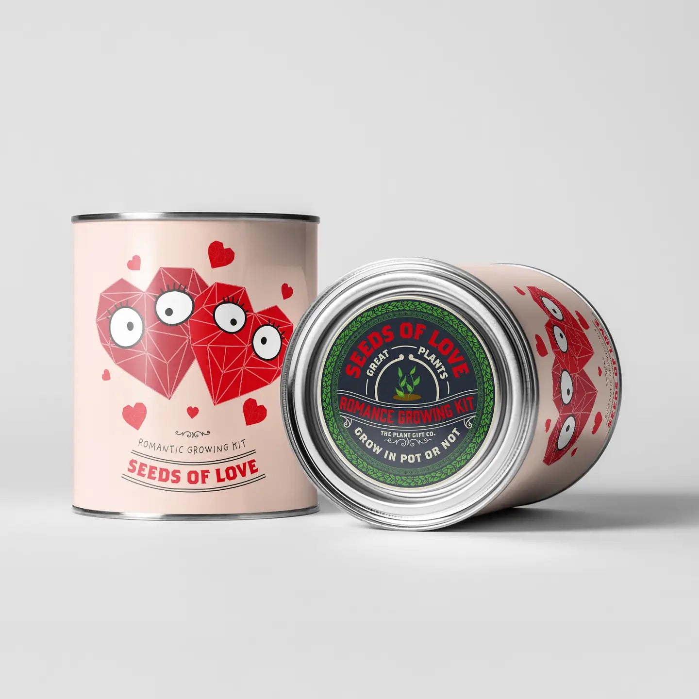 Eco Grow Your Own Plant Kit - Seeds of Love - Knottinger