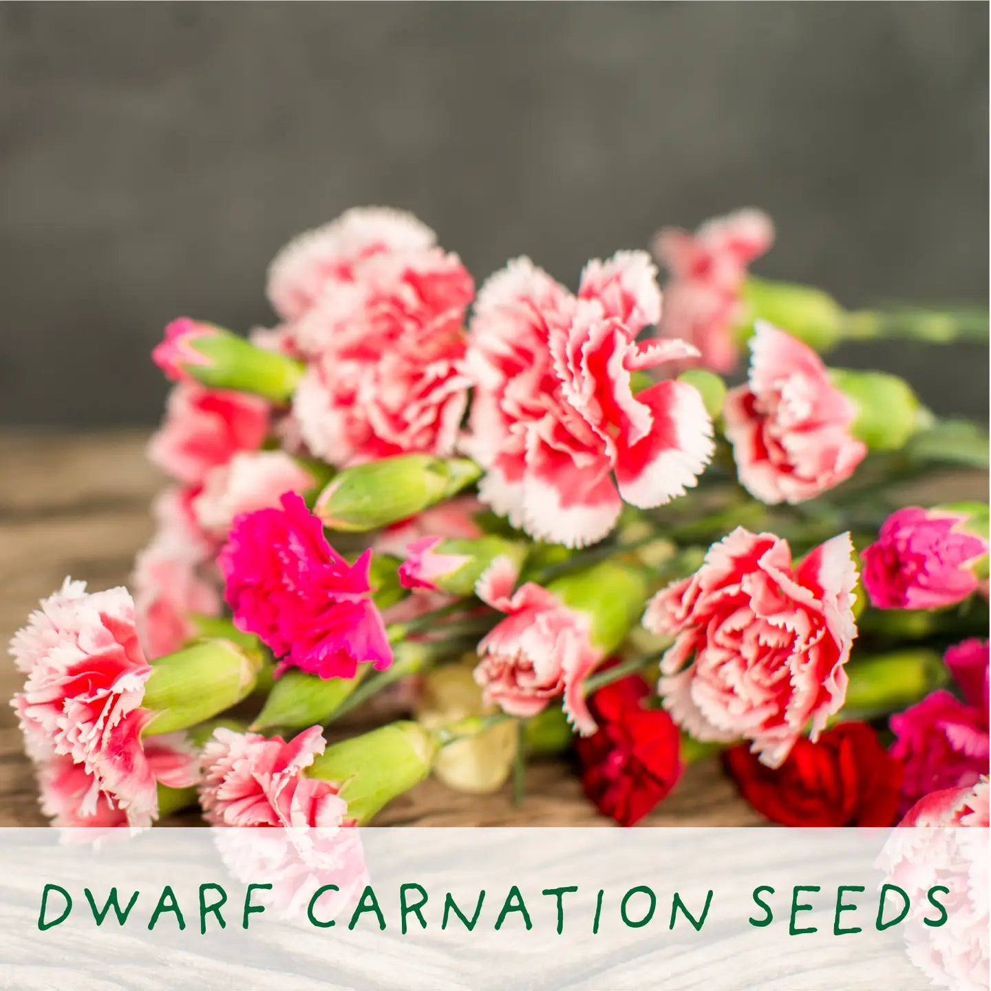 Eco Grow Your Own Plant Kit - Seeds of Love - Knottinger