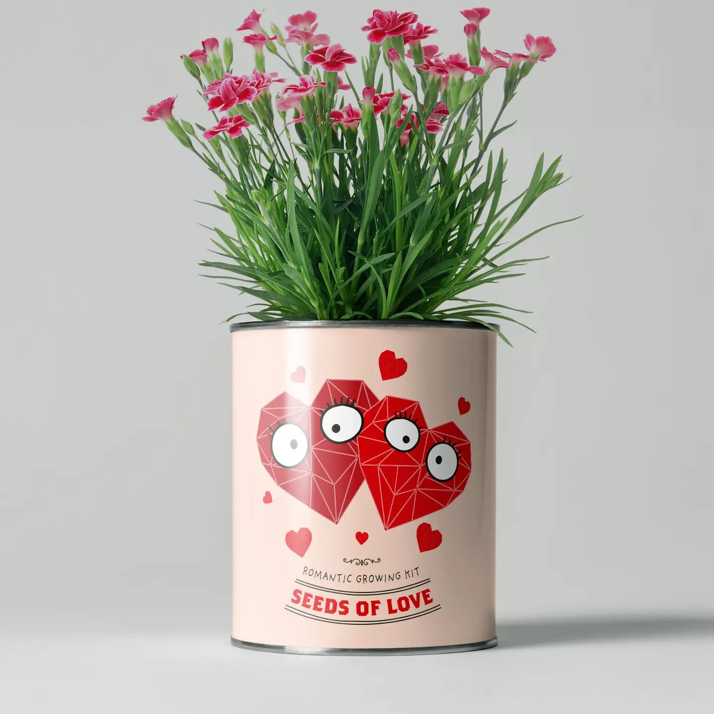 Eco Grow Your Own Plant Kit - Seeds of Love - Knottinger