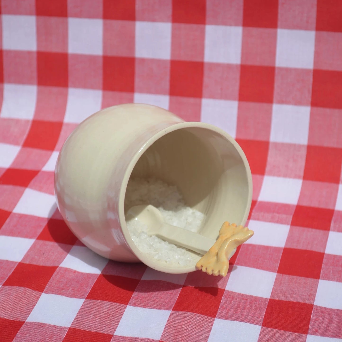 Pasta Salt Pig - Knottinger